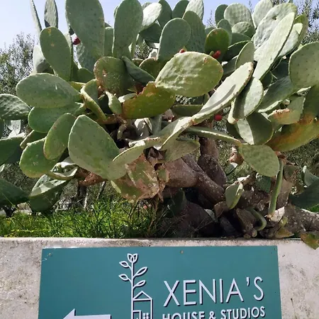 Xenia's House Vakantiehuis *
